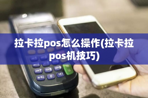 拉卡拉pos怎么操作(拉卡拉pos机技巧)