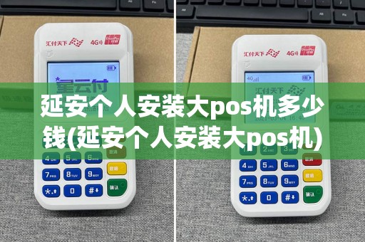 延安个人安装大pos机多少钱(延安个人安装大pos机)