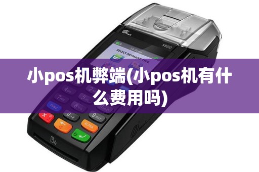 小pos机弊端(小pos机有什么费用吗)