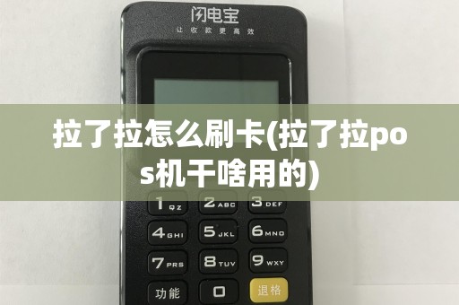 拉了拉怎么刷卡(拉了拉pos机干啥用的)