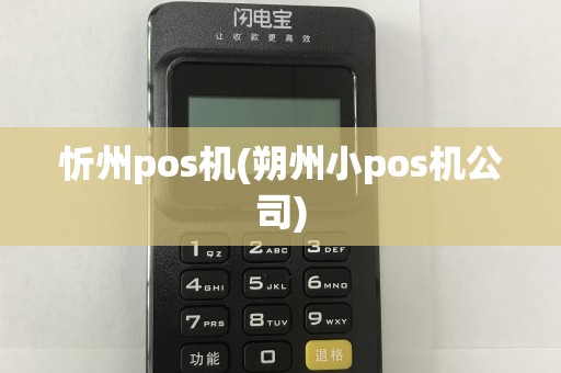 忻州pos机(朔州小pos机公司)