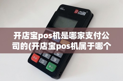 开店宝pos机是哪家支付公司的(开店宝pos机属于哪个公司)