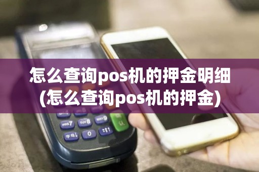怎么查询pos机的押金明细(怎么查询pos机的押金)
