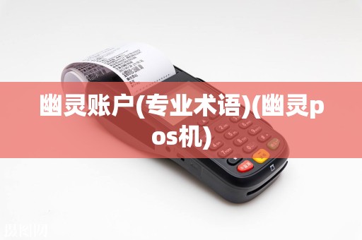幽灵账户(专业术语)(幽灵pos机)