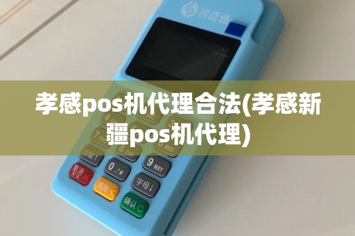 孝感pos机代理合法(孝感新疆pos机代理)