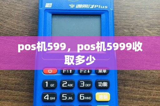 pos机599，pos机5999收取多少  第1张