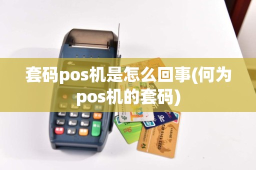 套码pos机是怎么回事(何为pos机的套码)