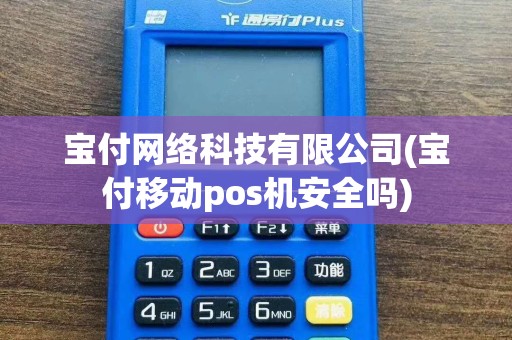 宝付网络科技有限公司(宝付移动pos机安全吗)