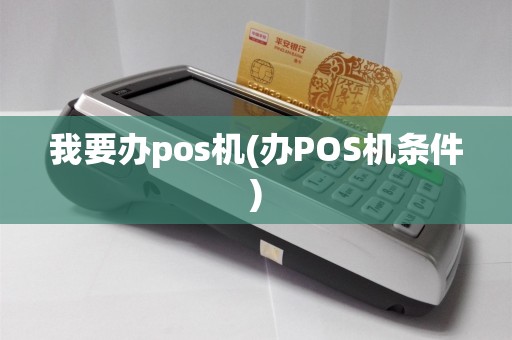 我要办pos机(办POS机条件)