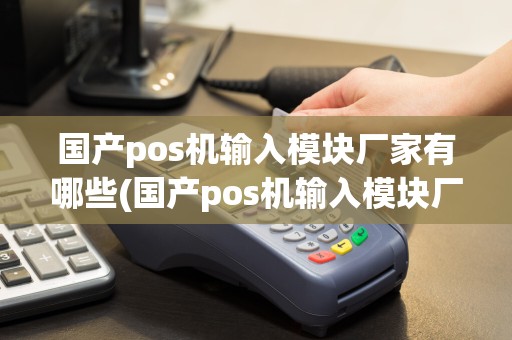 国产pos机输入模块厂家有哪些(国产pos机输入模块厂家)