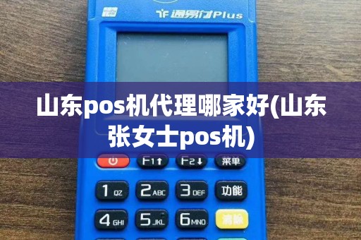 山东pos机代理哪家好(山东张女士pos机)