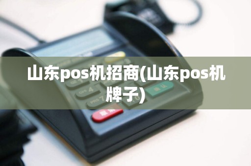 山东pos机招商(山东pos机牌子)