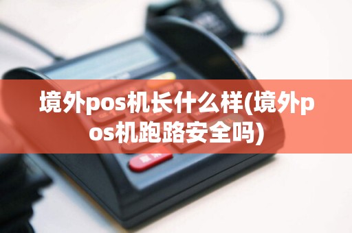境外pos机长什么样(境外pos机跑路安全吗)