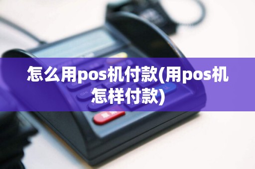 怎么用pos机付款(用pos机怎样付款)