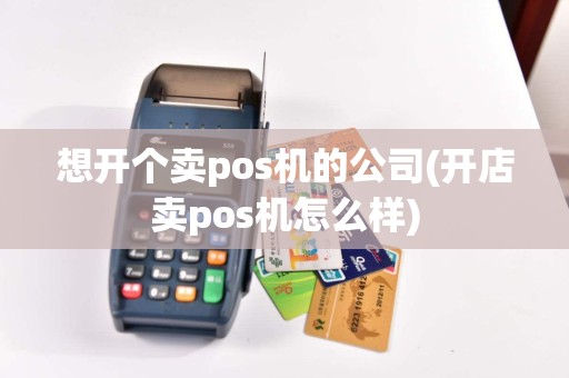想开个卖pos机的公司(开店卖pos机怎么样)