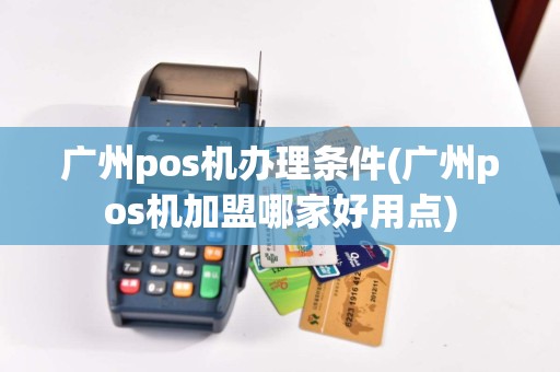 广州pos机办理条件(广州pos机加盟哪家好用点)