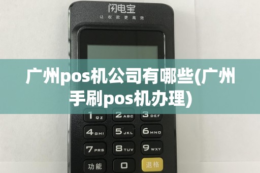 广州pos机公司有哪些(广州手刷pos机办理)