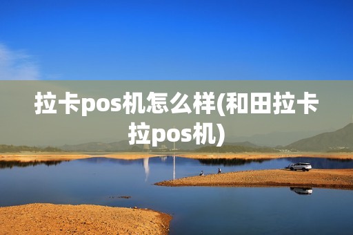 拉卡pos机怎么样(和田拉卡拉pos机)