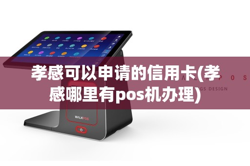 孝感可以申请的信用卡(孝感哪里有pos机办理)
