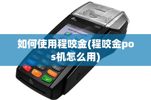 如何使用程咬金(程咬金pos机怎么用)