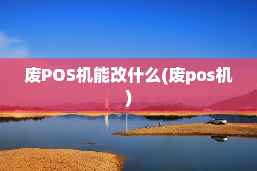 废POS机能改什么(废pos机)