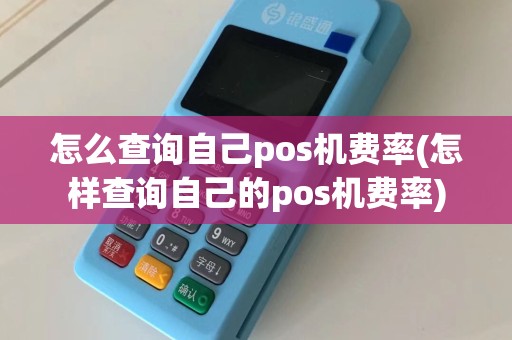怎么查询自己pos机费率(怎样查询自己的pos机费率)