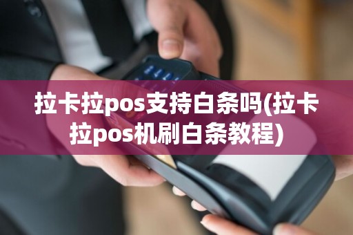 拉卡拉pos支持白条吗(拉卡拉pos机刷白条教程)  第1张