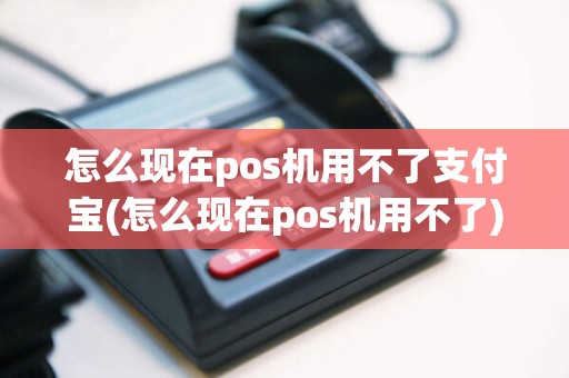 怎么现在pos机用不了支付宝(怎么现在pos机用不了)