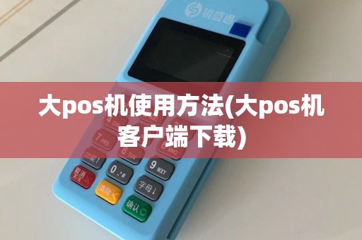 大pos机使用方法(大pos机客户端下载)