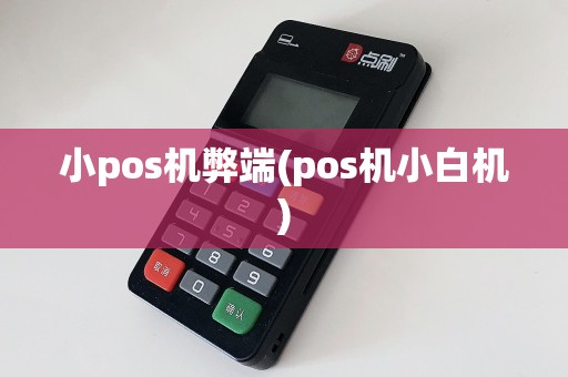小pos机弊端(pos机小白机)