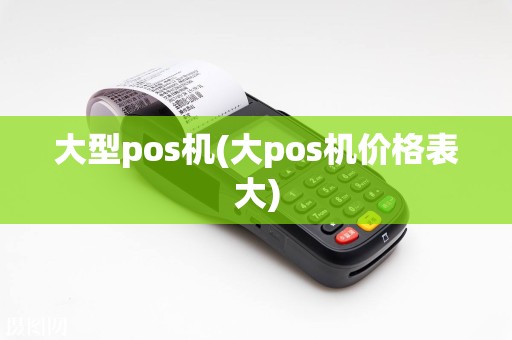 大型pos机(大pos机价格表大)