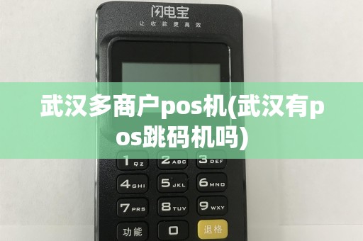 武汉多商户pos机(武汉有pos跳码机吗)