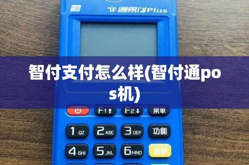 智付支付怎么样(智付通pos机)