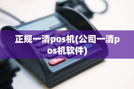 正规一清pos机(公司一清pos机软件)