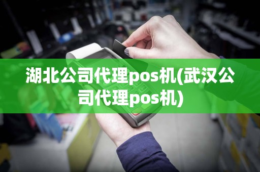 湖北公司代理pos机(武汉公司代理pos机)