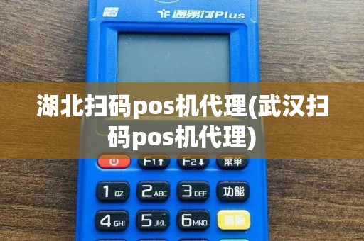 湖北扫码pos机代理(武汉扫码pos机代理)