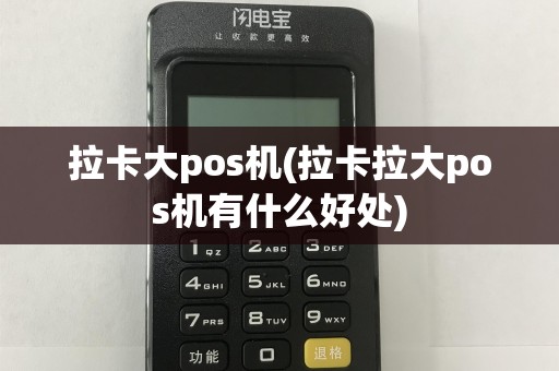 拉卡大pos机(拉卡拉大pos机有什么好处)