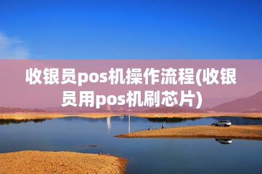 收银员pos机操作流程(收银员用pos机刷芯片)