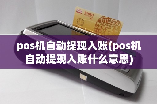 pos机自动提现入账(pos机自动提现入账什么意思)