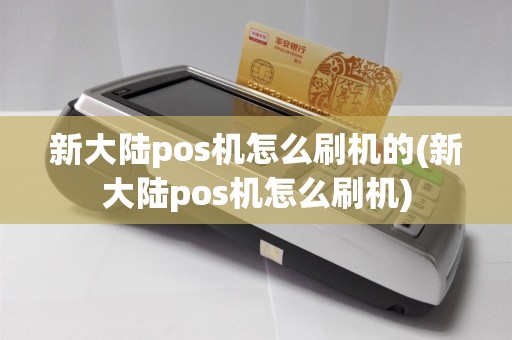 新大陆pos机怎么刷机的(新大陆pos机怎么刷机)