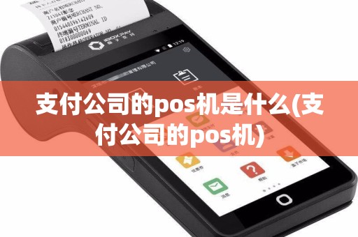 支付公司的pos机是什么(支付公司的pos机)