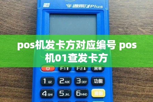 pos机发卡方对应编号 pos机01查发卡方