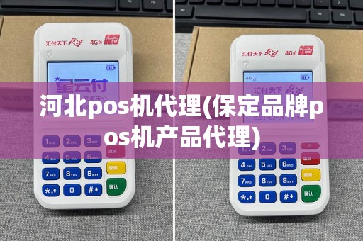 河北pos机代理(保定品牌pos机产品代理)