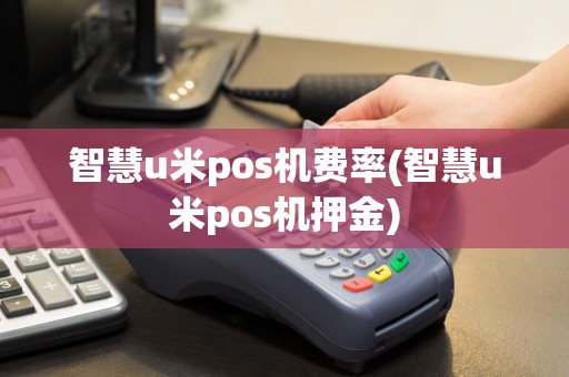 智慧u米pos机费率(智慧u米pos机押金)  第1张