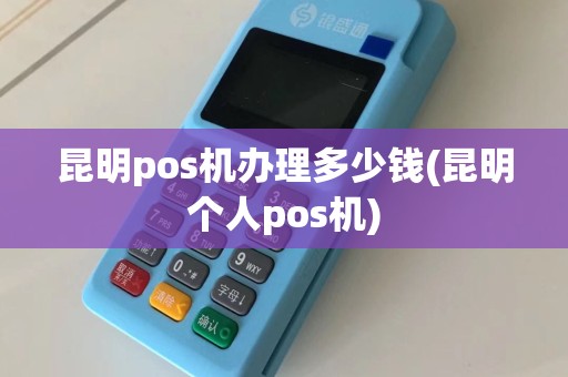 昆明pos机办理多少钱(昆明个人pos机)  第1张