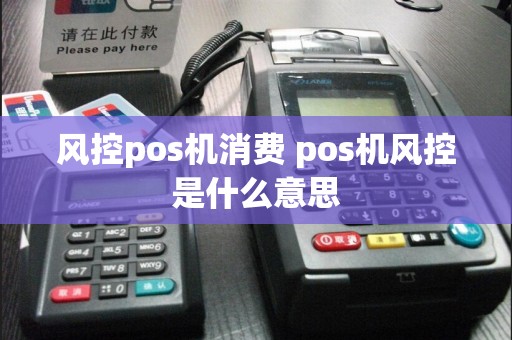 风控pos机消费 pos机风控是什么意思