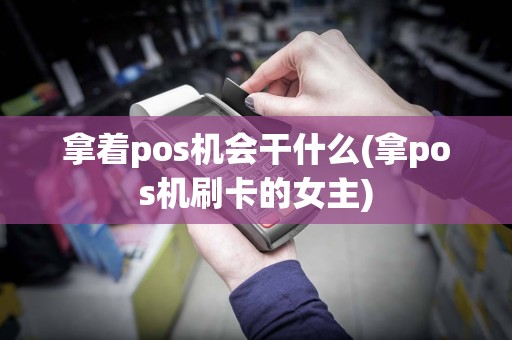 拿着pos机会干什么(拿pos机刷卡的女主)  第1张