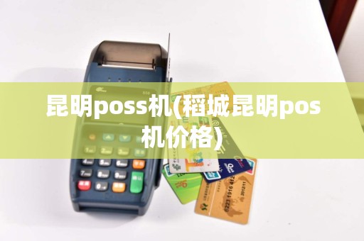 昆明poss机(稻城昆明pos机价格)  第1张