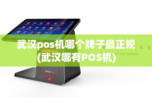 武汉pos机哪个牌子最正规(武汉哪有POS机)