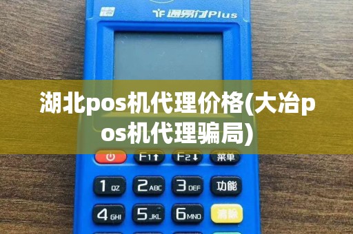 湖北pos机代理价格(大冶pos机代理骗局)